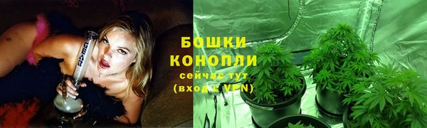 шишки Аркадак