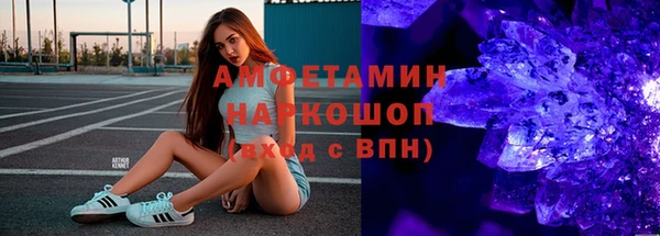шишки Аркадак