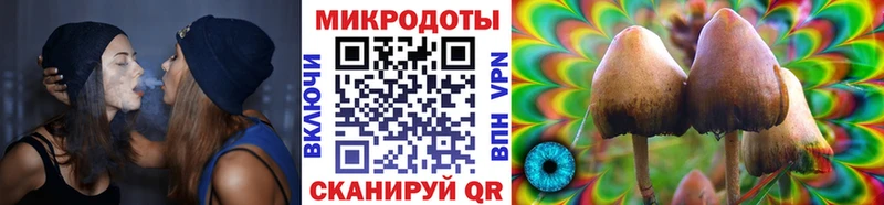 omg зеркало  купить закладку  Гаджиево  Галлюциногенные грибы мухоморы 